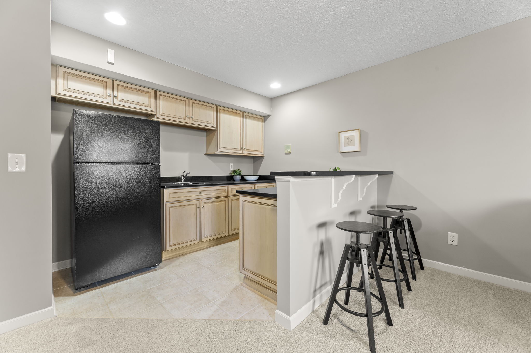 Lower Level Kitchen
