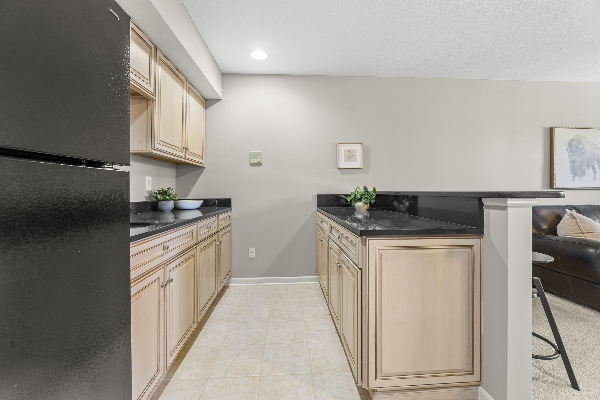 Lower Level Kitchen