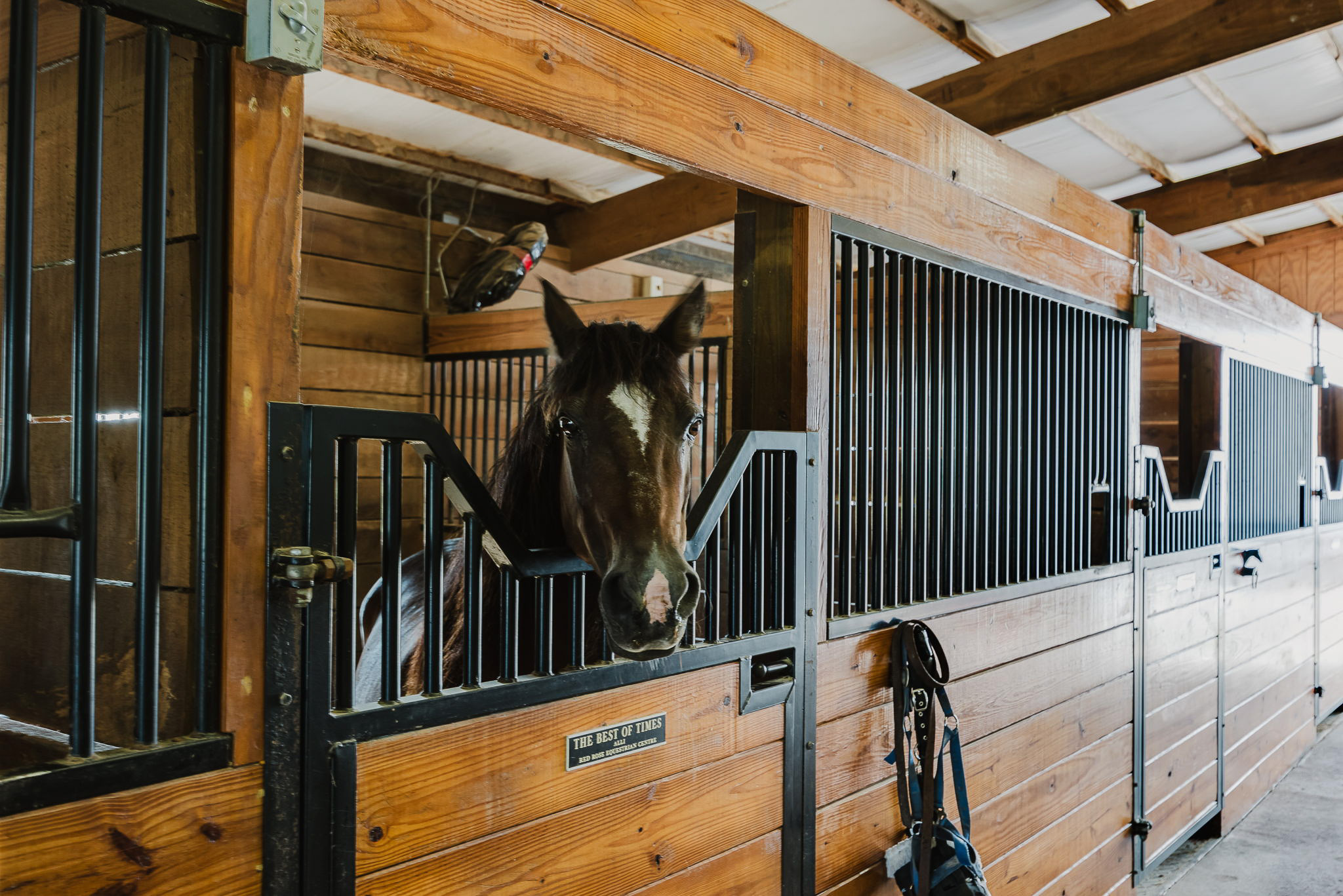 Stables