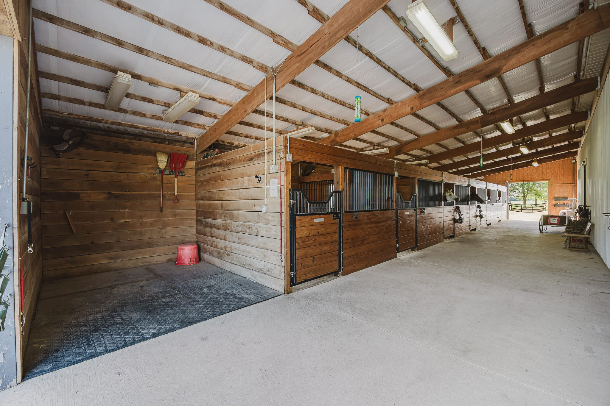 Stables