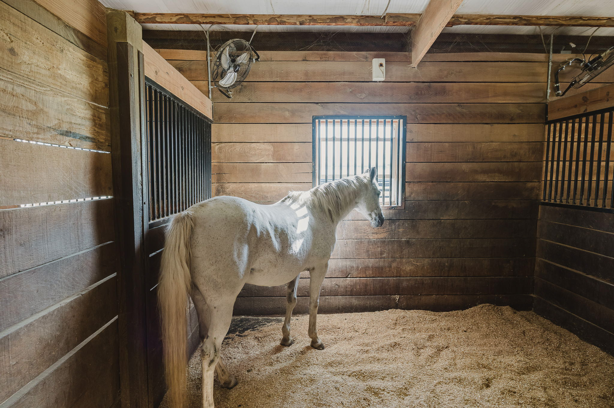 Stables