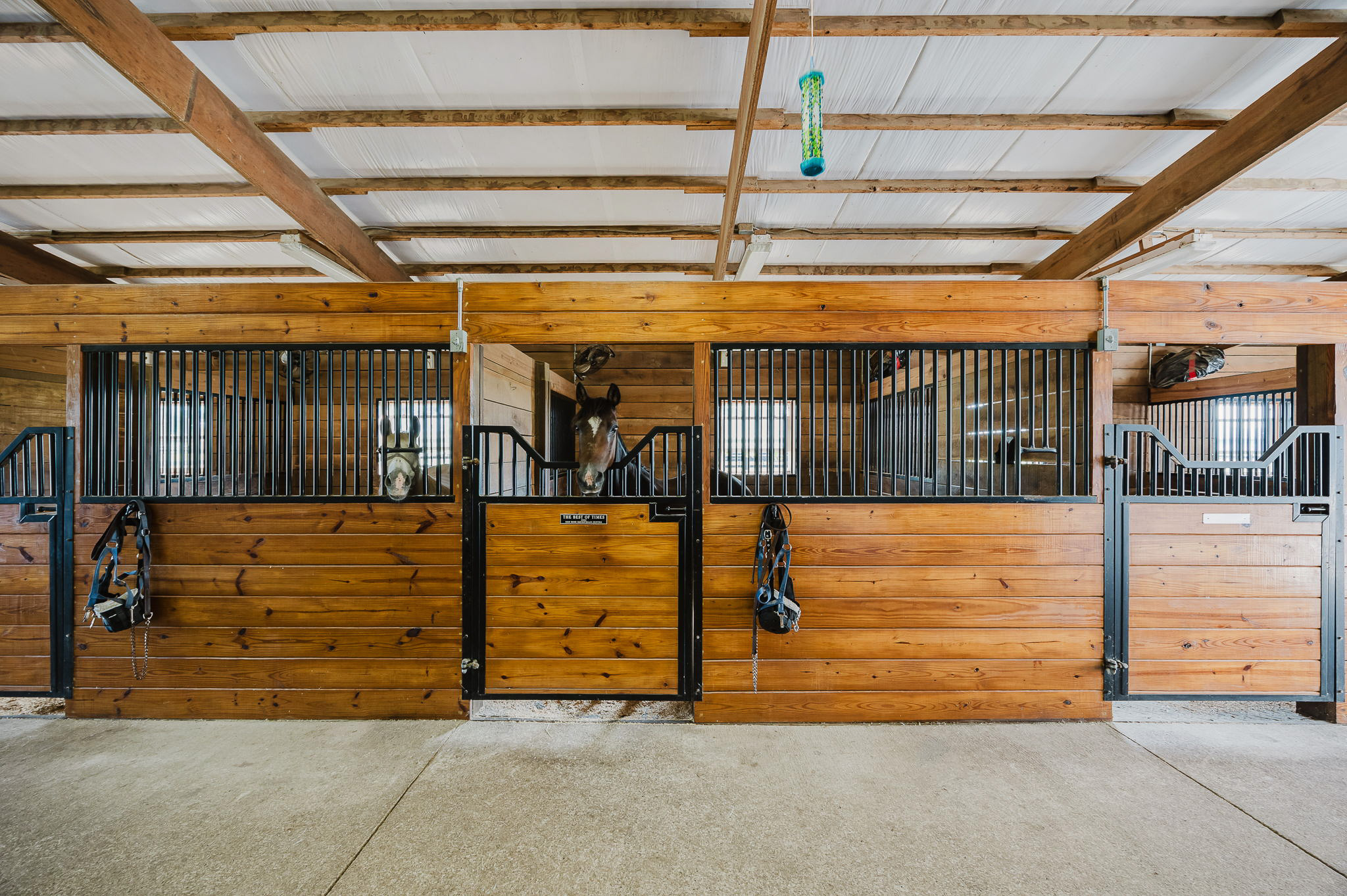 Stables