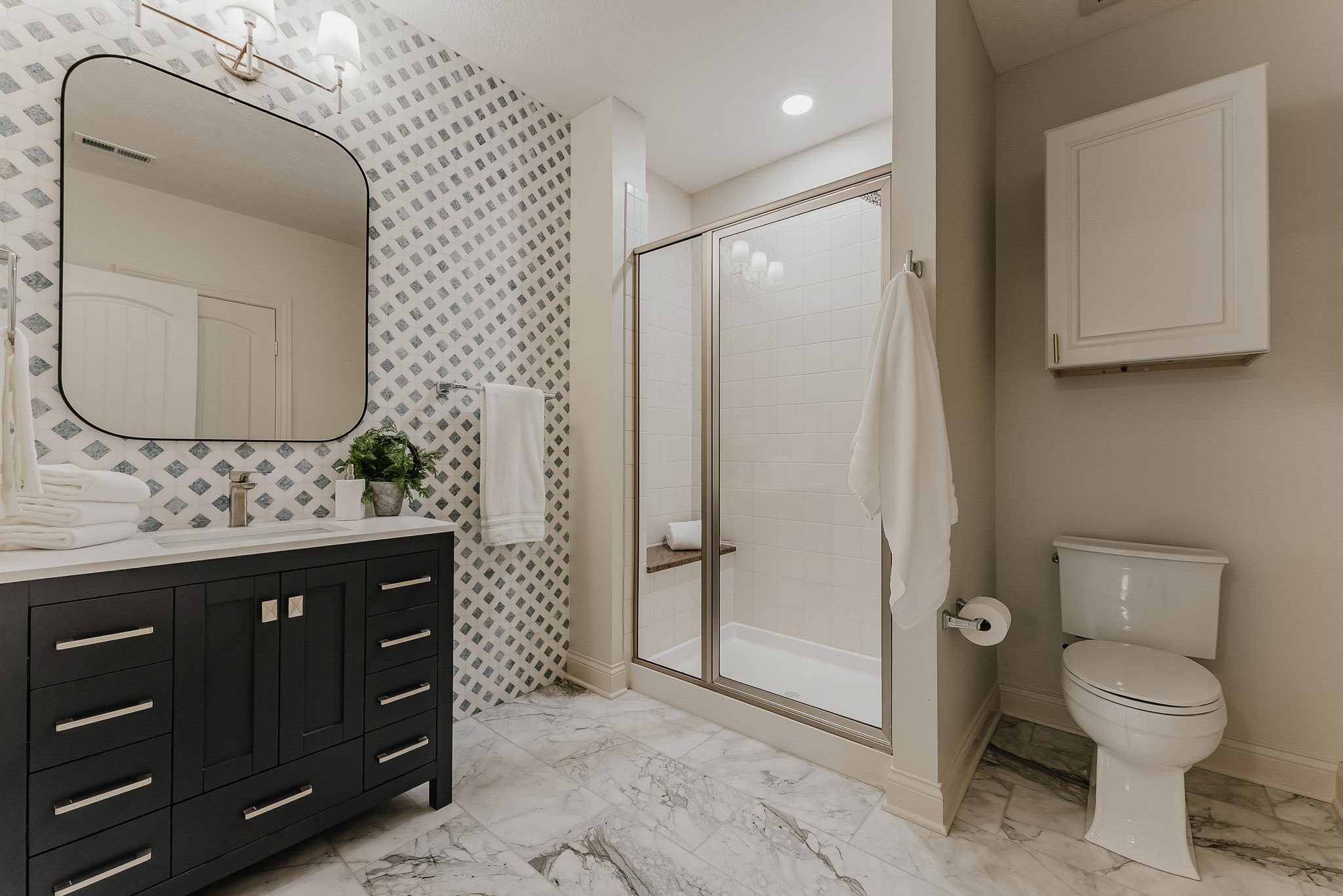 Lower Level Bathroom