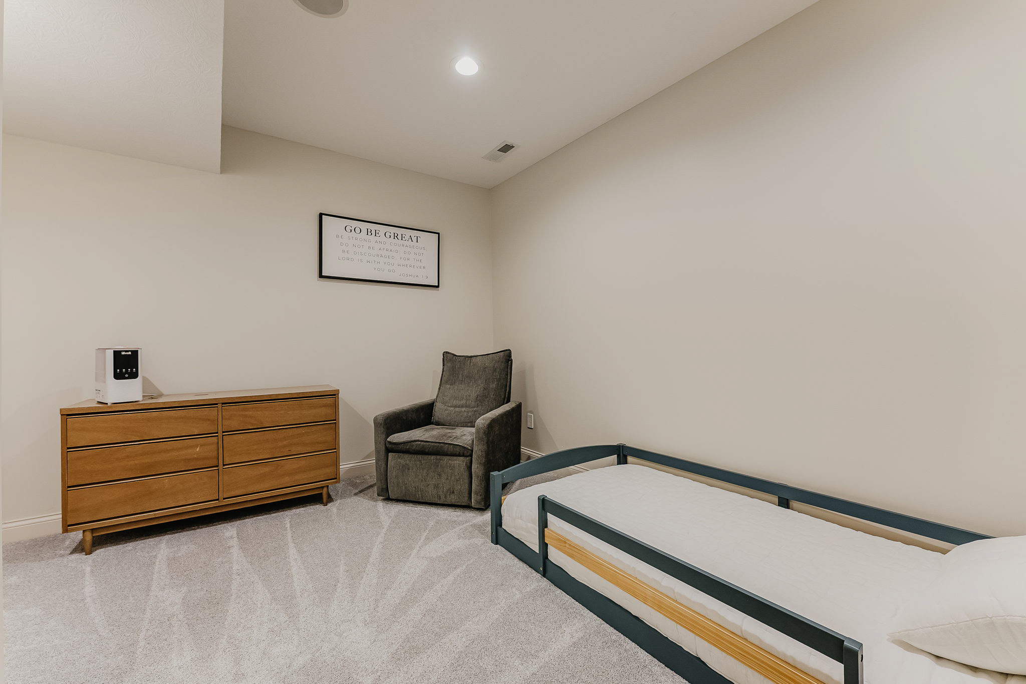 Lower Level Flex Room