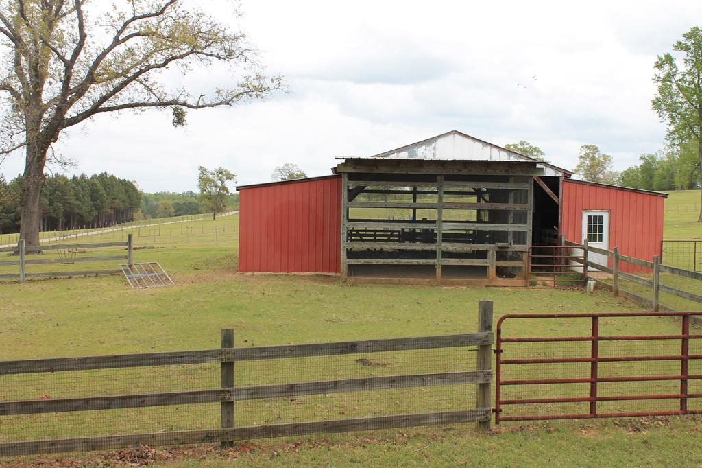 Chicken Coop