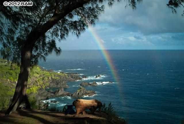 retreat property in East Maui