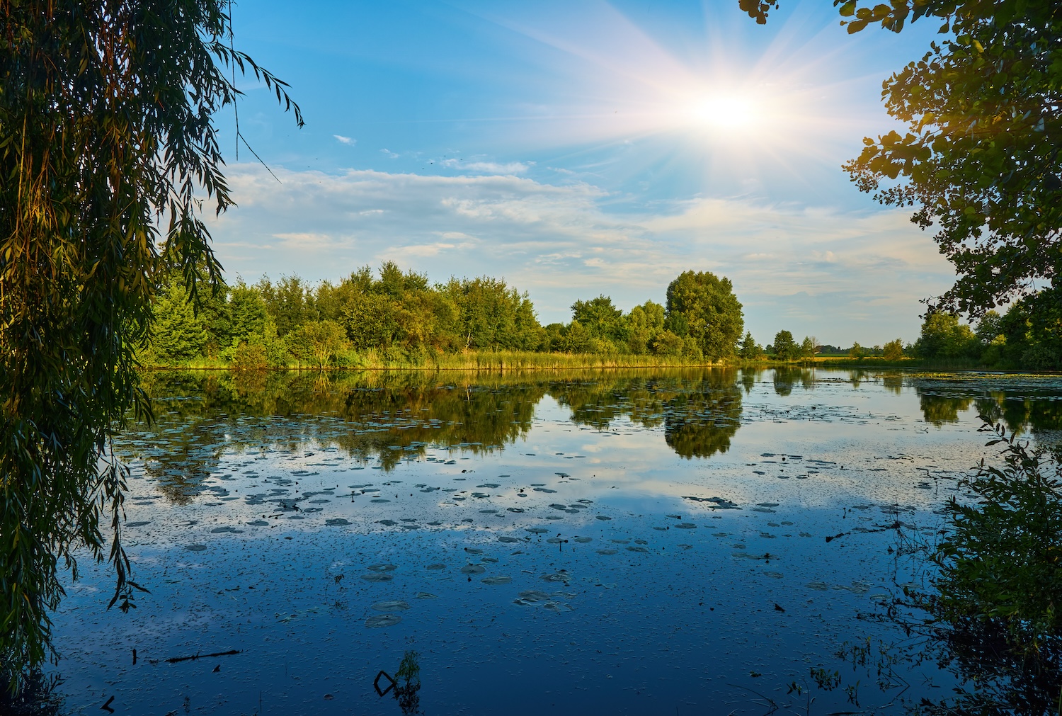 Bunnell parks and open spaces