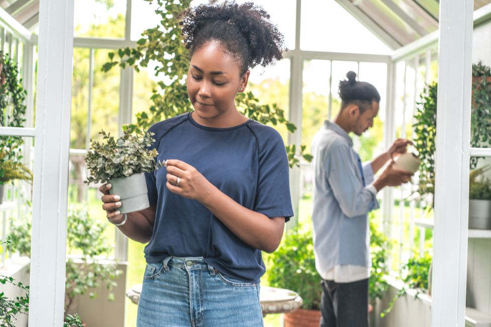 Hobby farm on acreage