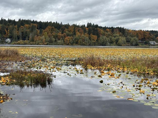 8582 Long Lake Rd SE, WA 98367