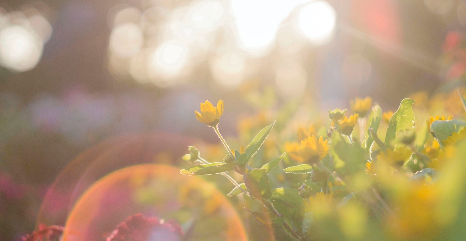 Explore Wilson, NC with Reeves Realty