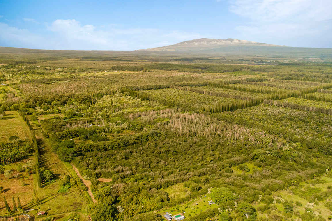 10 acres in Kurtistown, Hawaii country living offgrid Big Island