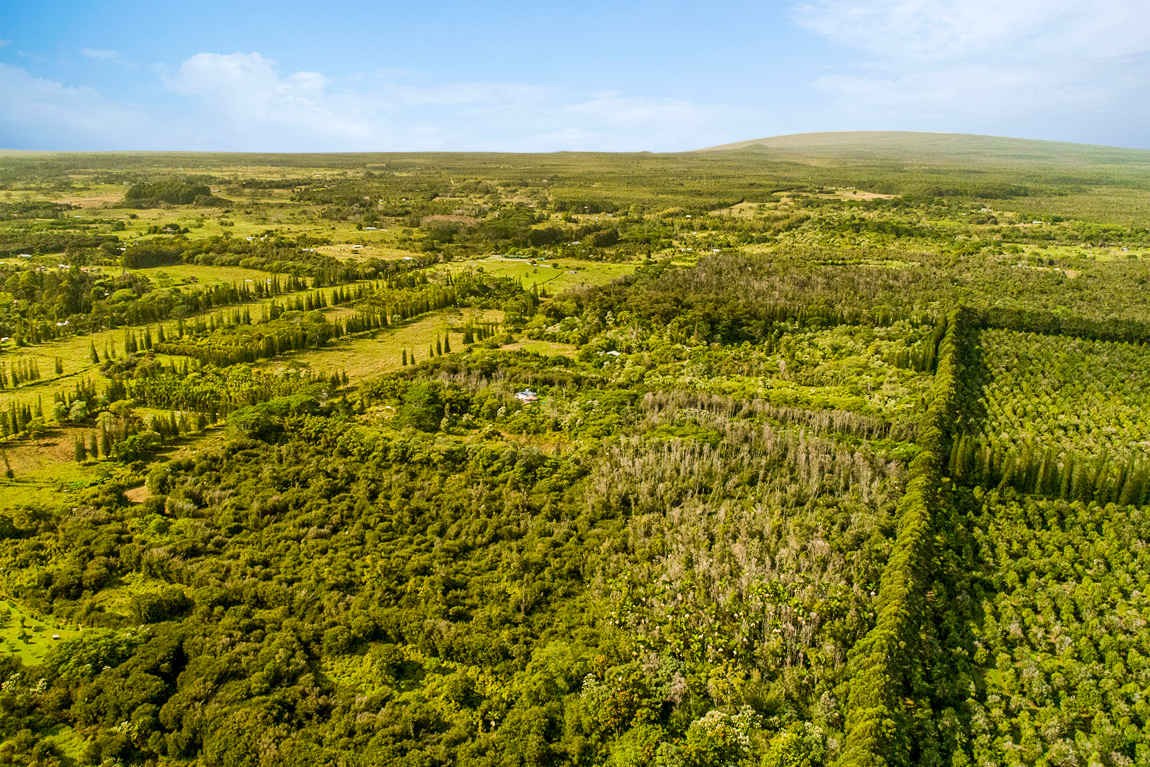 10 acres in Kurtistown, Hawaii country living offgrid Big Island