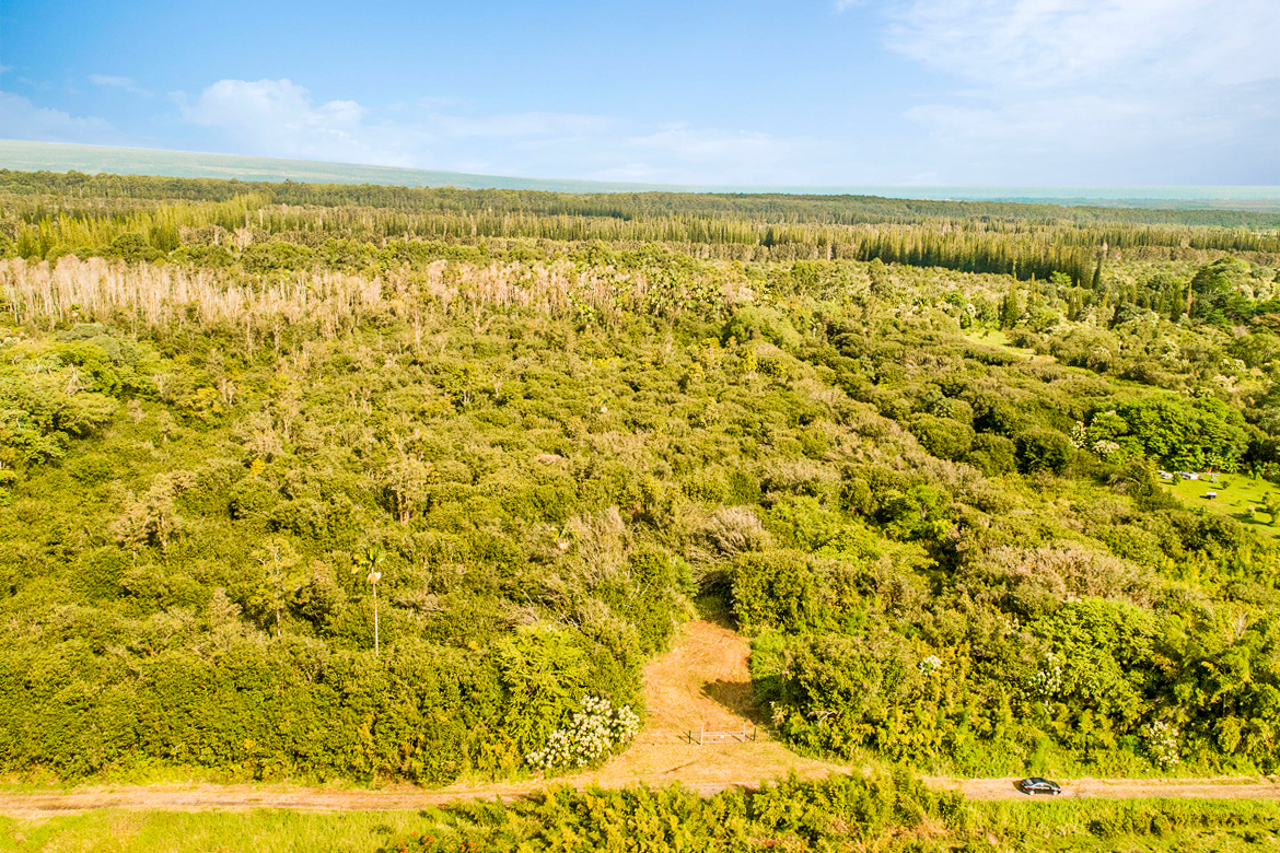 10 acres in Kurtistown, Hawaii country living offgrid Big Island