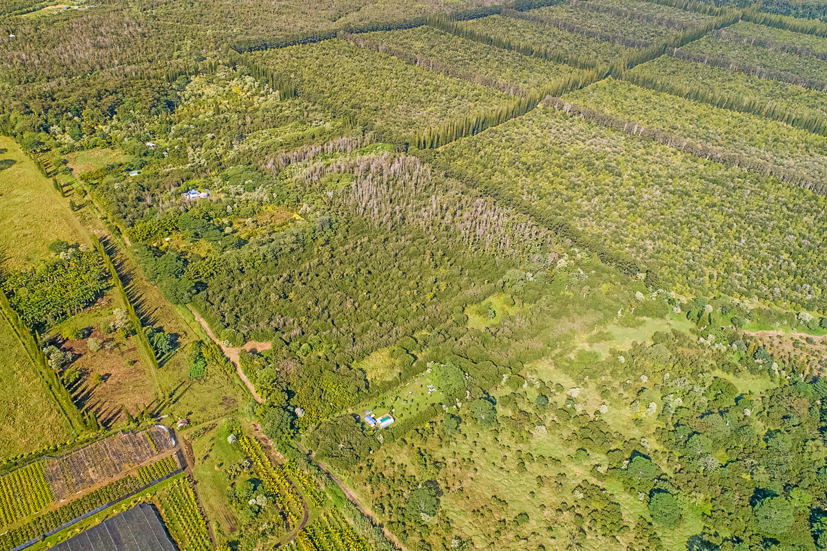 10 acres in Kurtistown, Hawaii country living offgrid Big Island