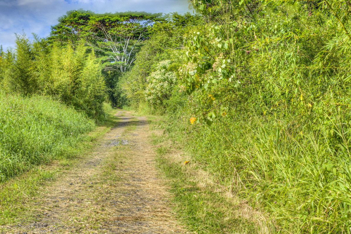 10 acres in Kurtistown, Hawaii country living offgrid Big Island