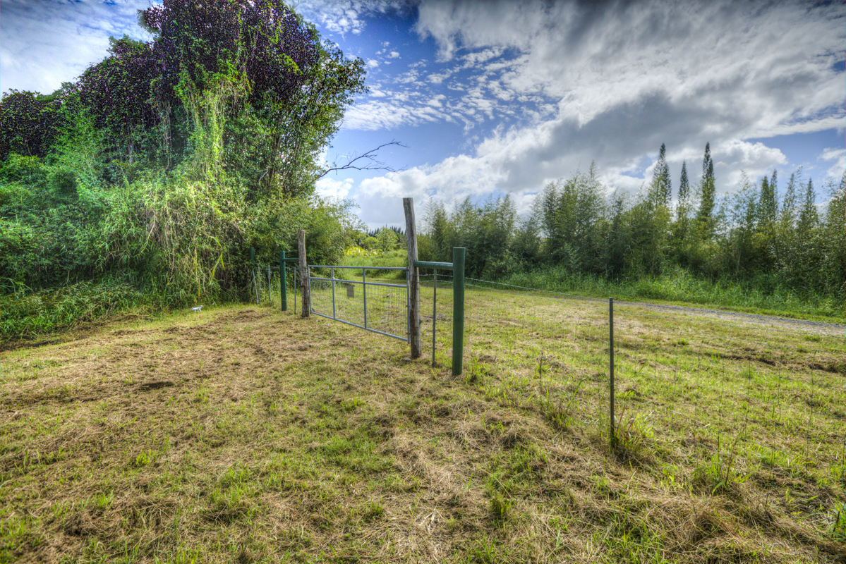 10 acres in Kurtistown, Hawaii country living offgrid Big Island