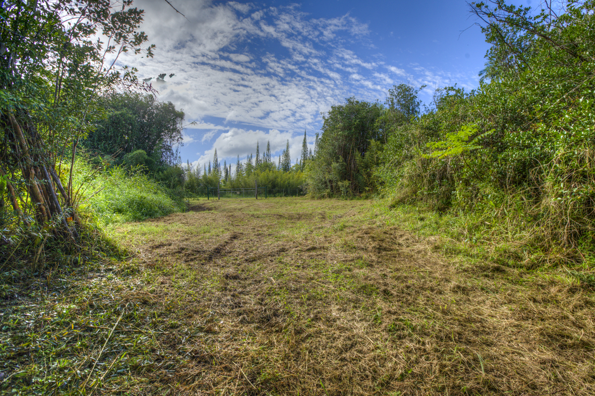 10 acres in Kurtistown, Hawaii country living offgrid Big Island