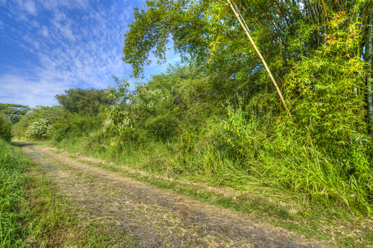 10 acres in Kurtistown, Hawaii country living offgrid Big Island