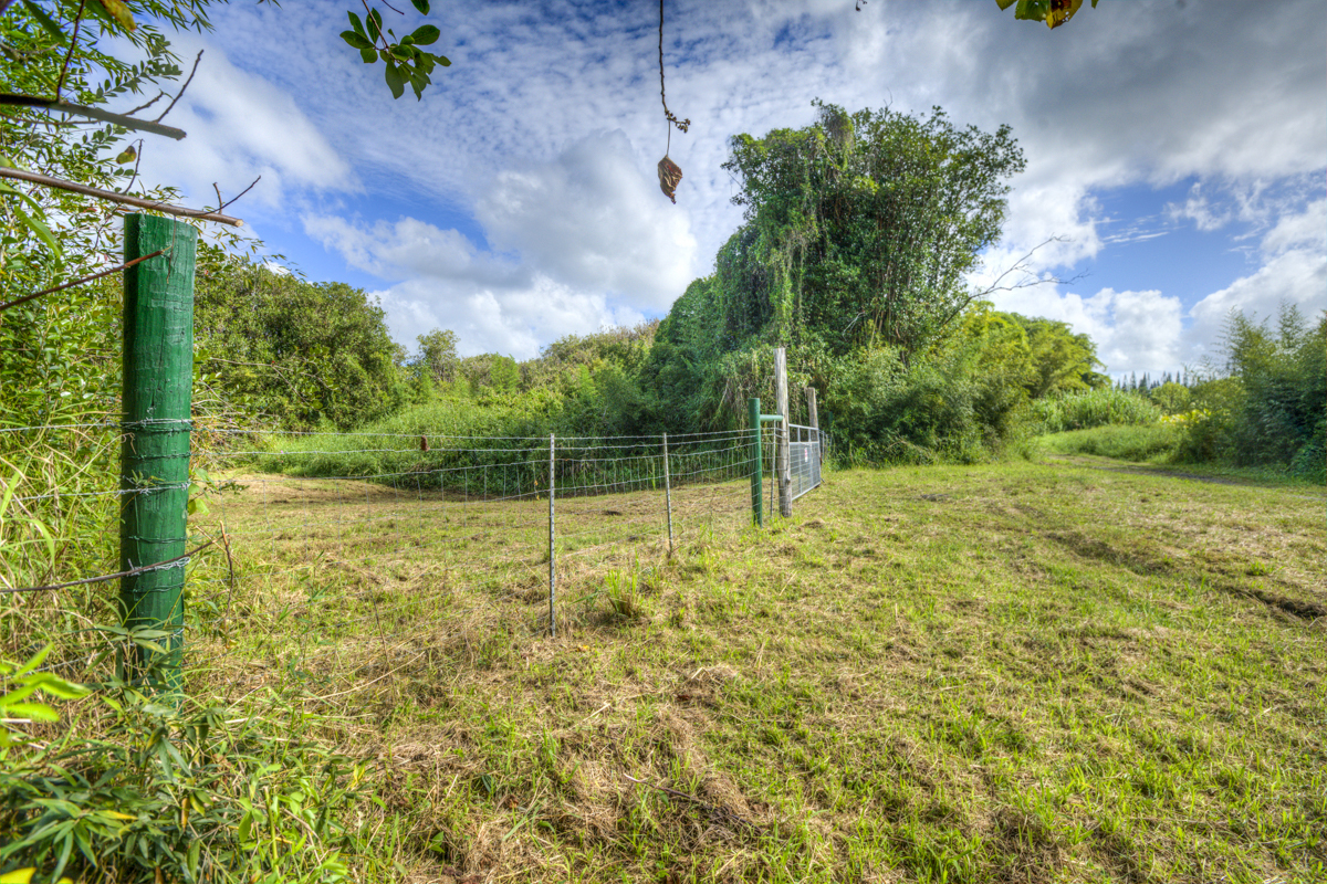 10 acres in Kurtistown, Hawaii country living offgrid Big Island
