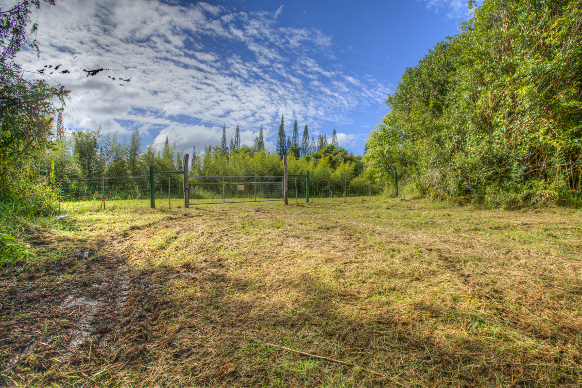 10 acres in Kurtistown, Hawaii country living offgrid Big Island