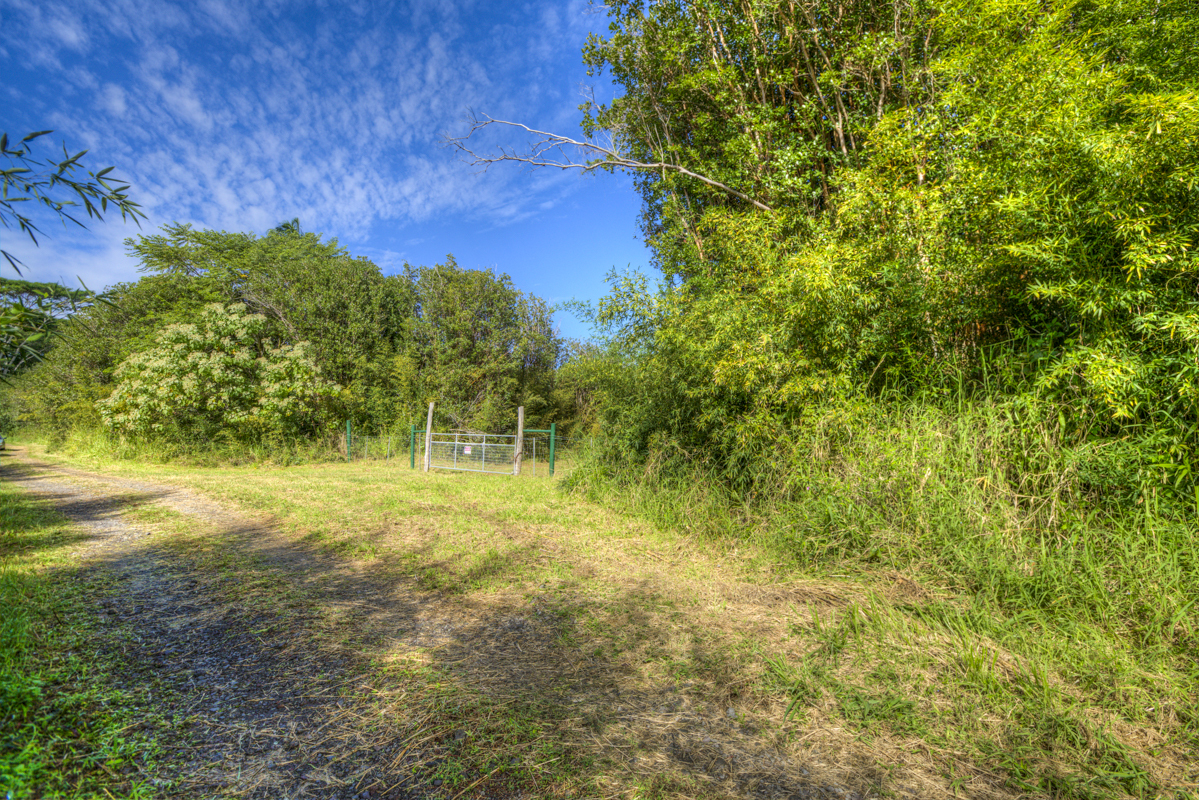 10 acres in Kurtistown, Hawaii country living offgrid Big Island