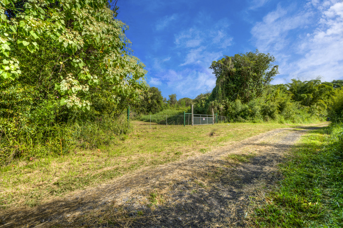 10 acres in Kurtistown, Hawaii country living offgrid Big Island