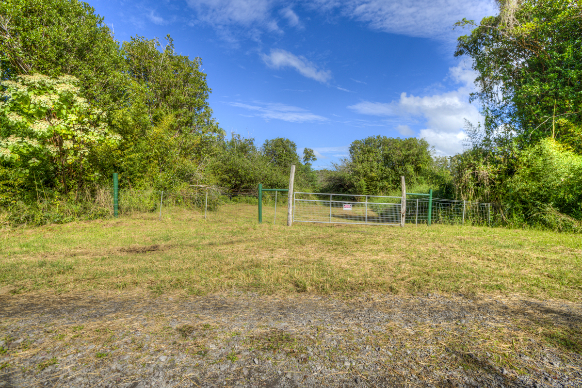 10 acres in Kurtistown, Hawaii country living offgrid Big Island