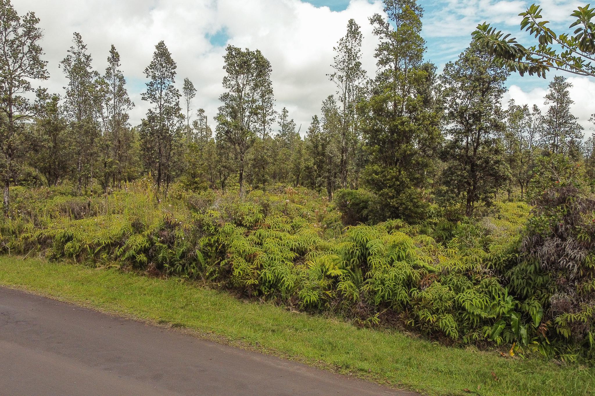 Two acre of land fern acres subdivision big island of Hawaii