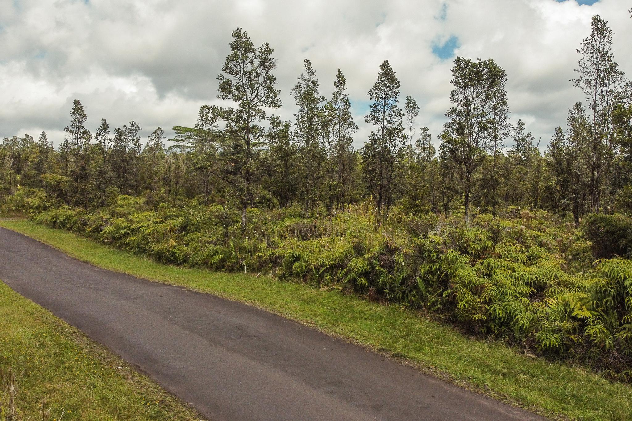 Two acre of land fern acres subdivision big island of Hawaii