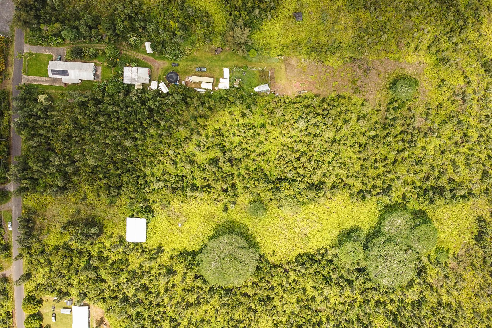 Acreage in Hawaii two acres front entrance of fern acres subdivision