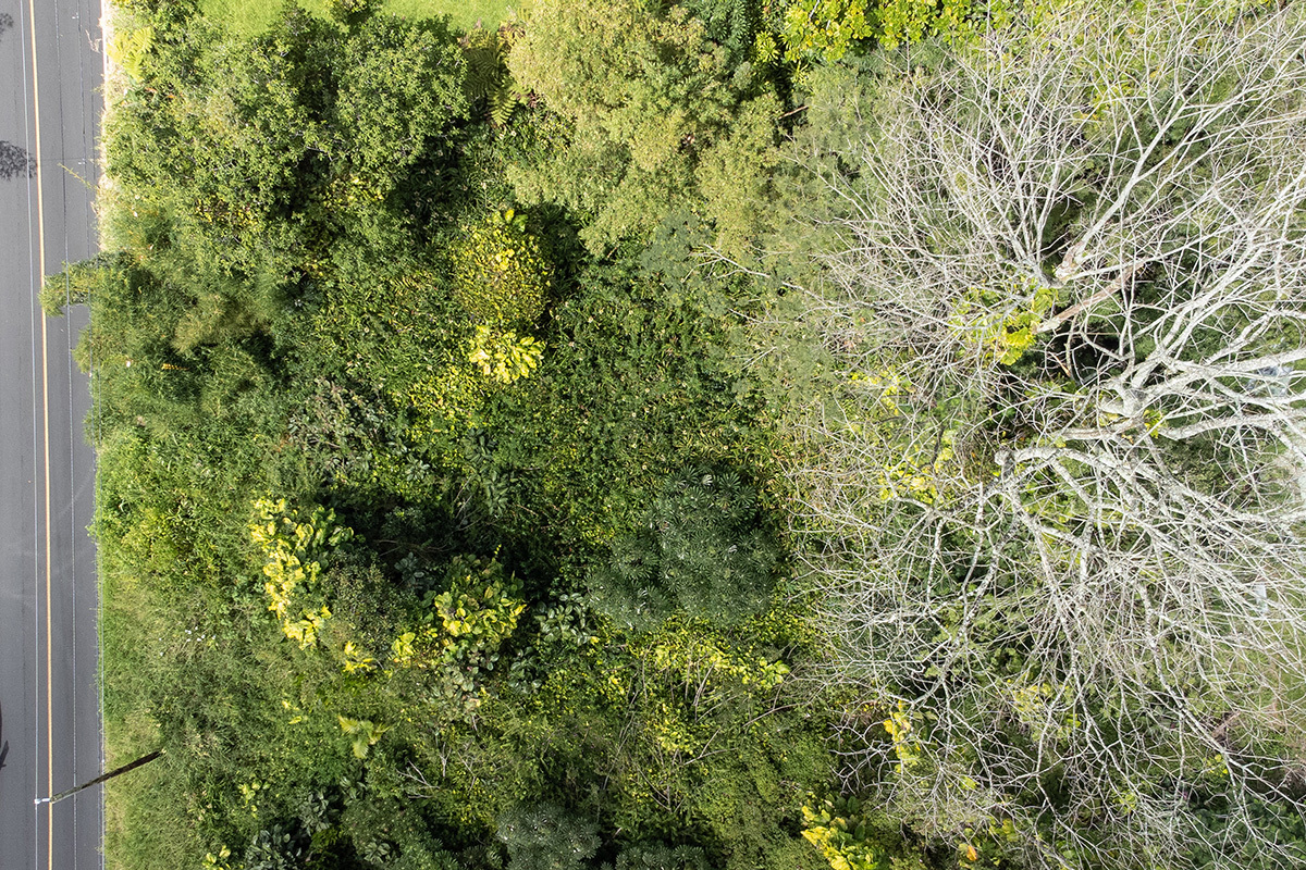 Aerial image