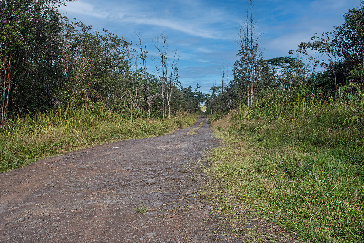 $88K for two acres of land 