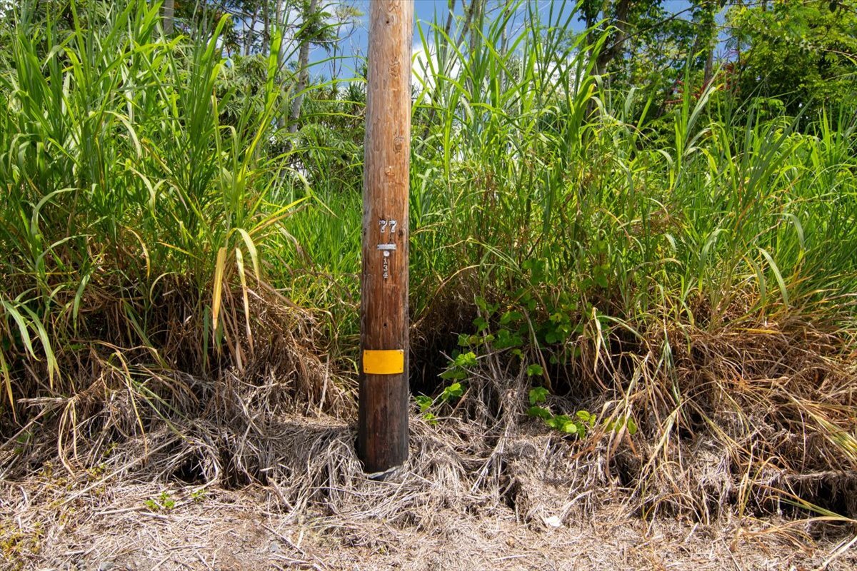 Subject lot is to the right side of electric pole 77