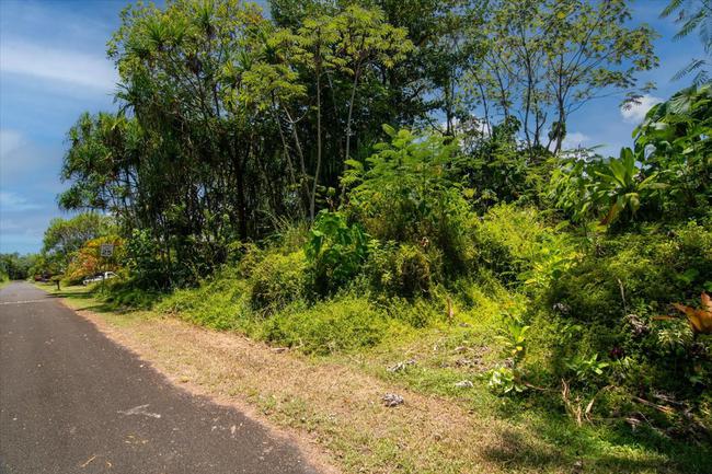 $45K lot with seller financing on S Opakapaka Street 