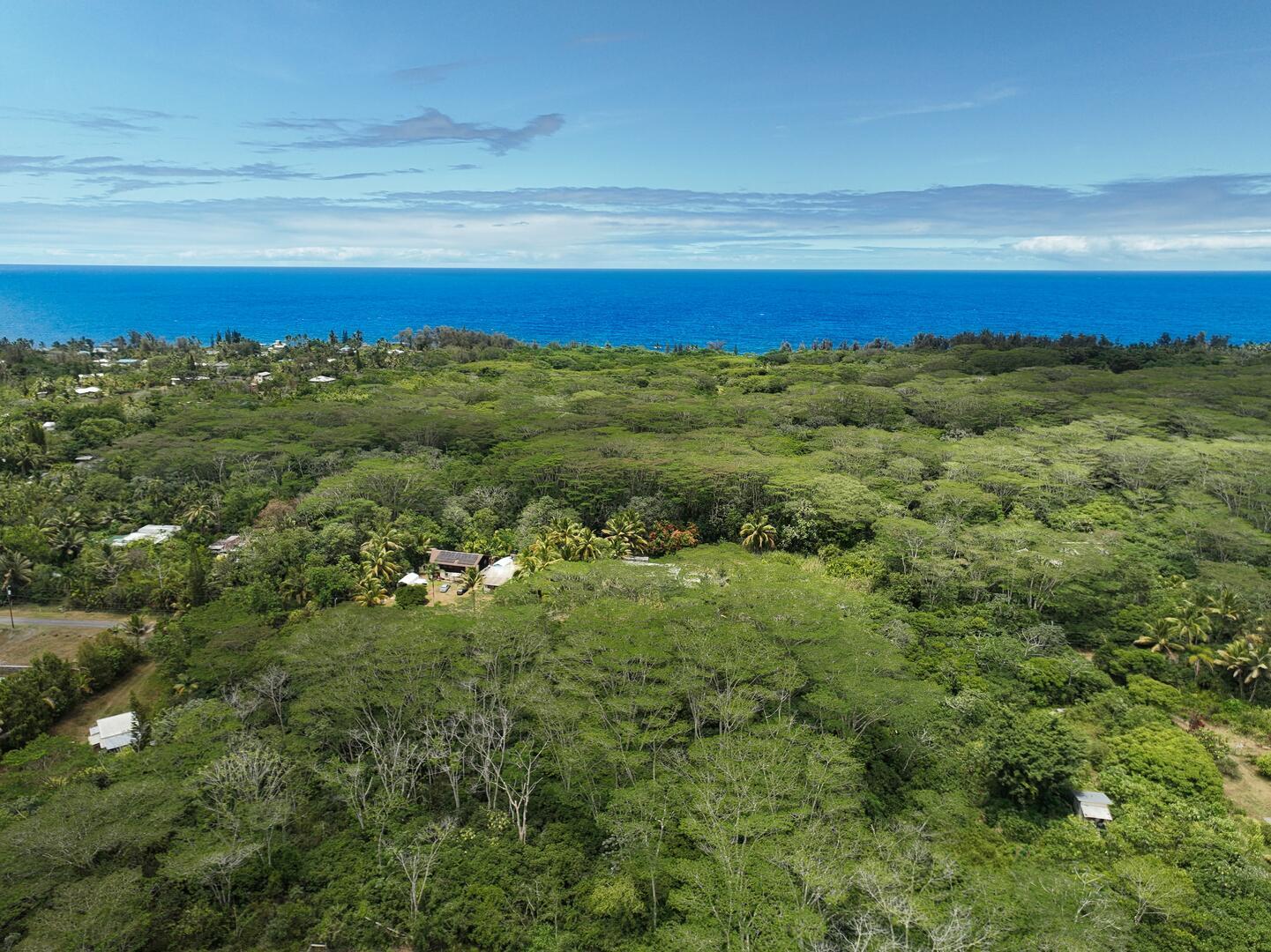 1-Acre half a mile from the ocean in Hawaiian Paradise Park $119K