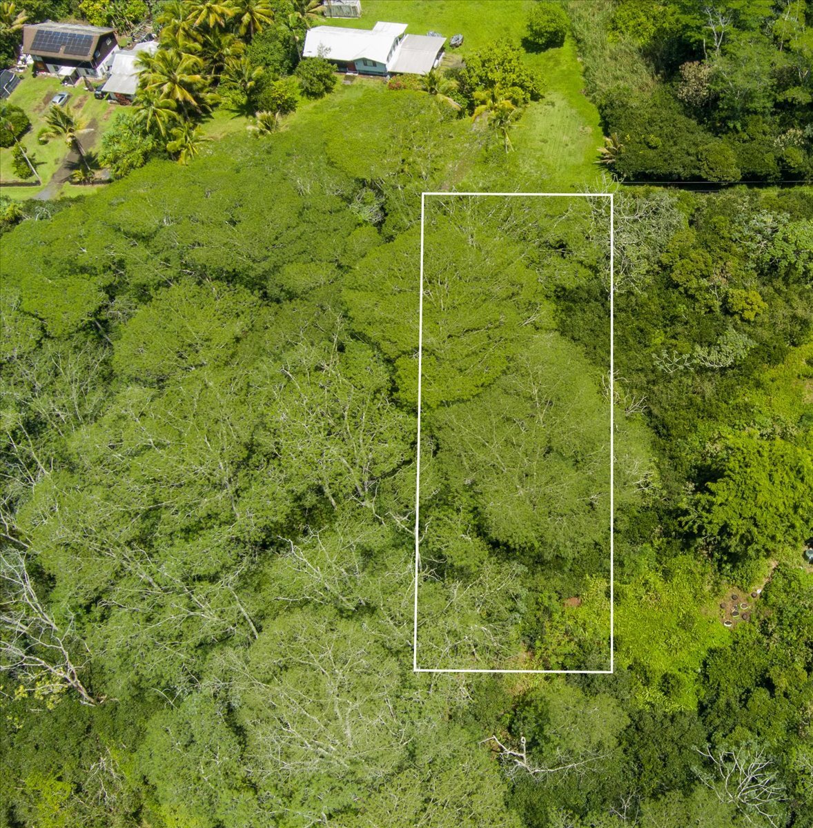(135 x 322.67) Approximate boundaries 