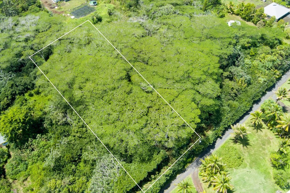 Lot 1401 on 3rd Ave in HPP