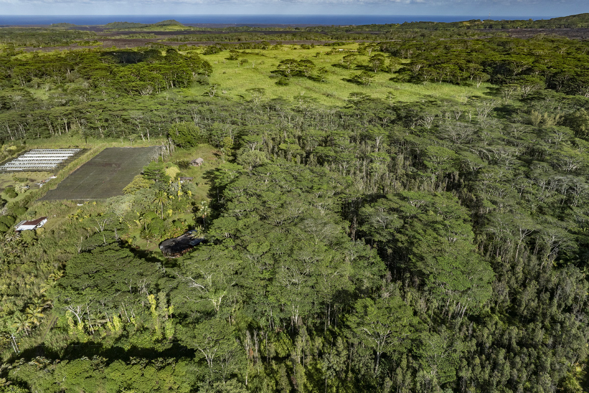 5 Acres in East Hawaii $125,000