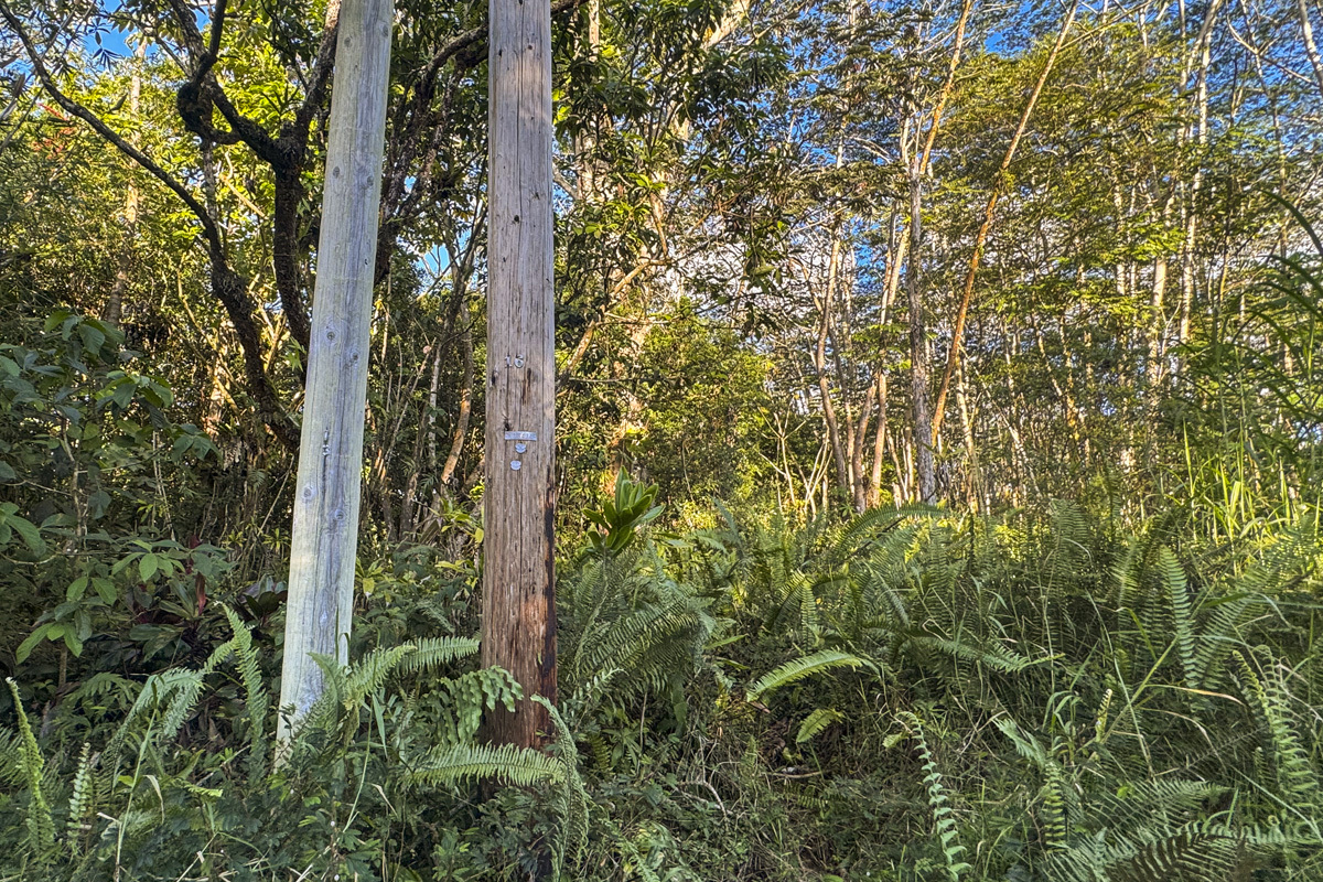 Power available per Hawaiian Electric 