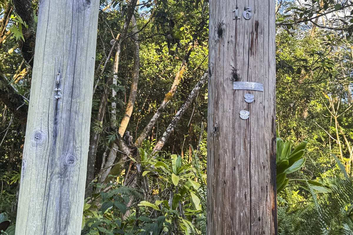 Subject property is between Electric pole 15 to 16