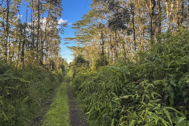5 Acres on Nanawale Farms Road