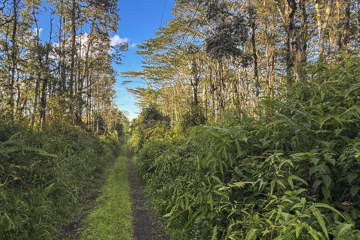 5 Acres on Nanawale Farms Road