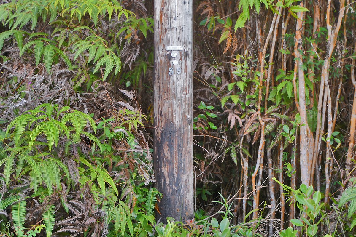 Electricity is available at the lot