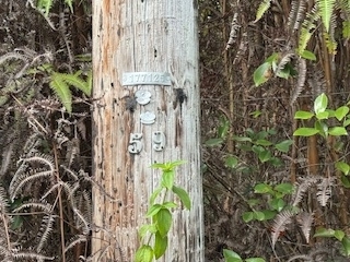 Near electric pole 59