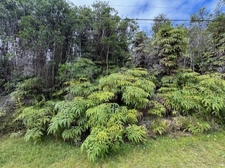 www.fernacres.org