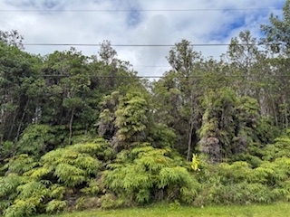 Own acreage on the Big Island