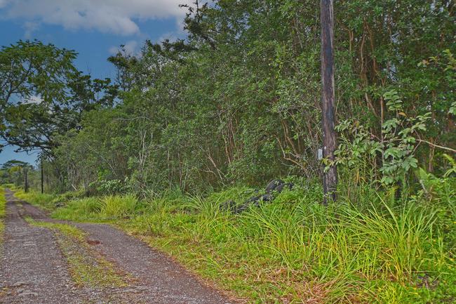 2 acres of land $87,500 in Orchid Land Estates