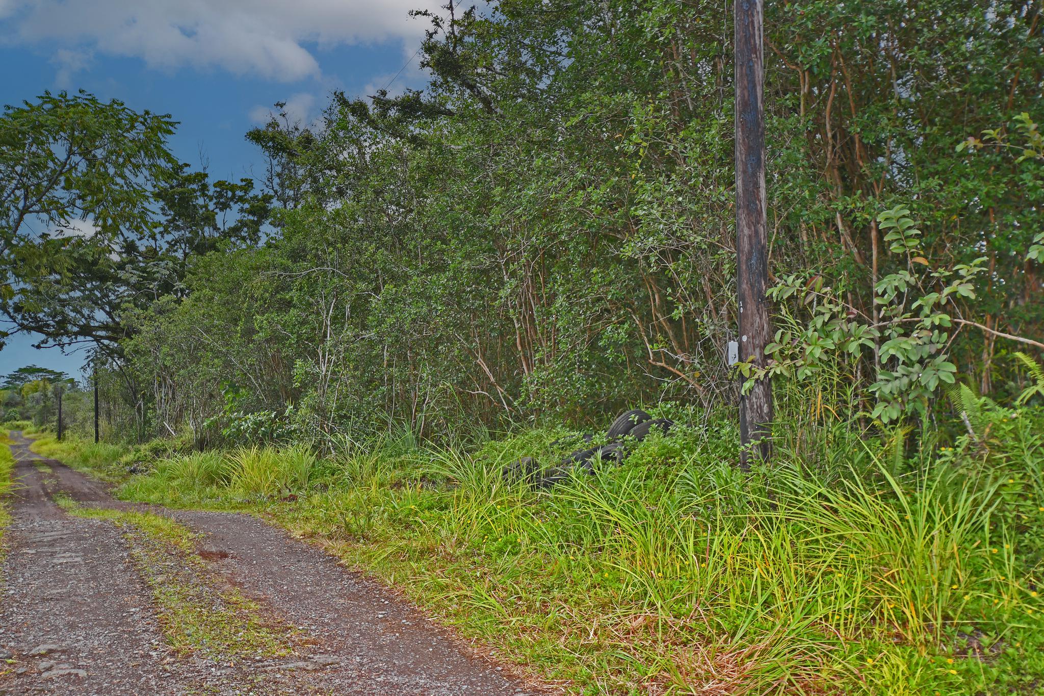 2 acres of land $87,500 in Orchid Land Estates