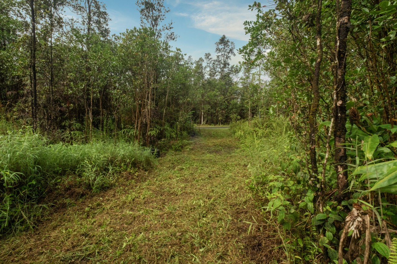 Property was recently surveyed