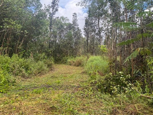 $65,000 for 2 acres on pavement with a driveway entrance & shipping container